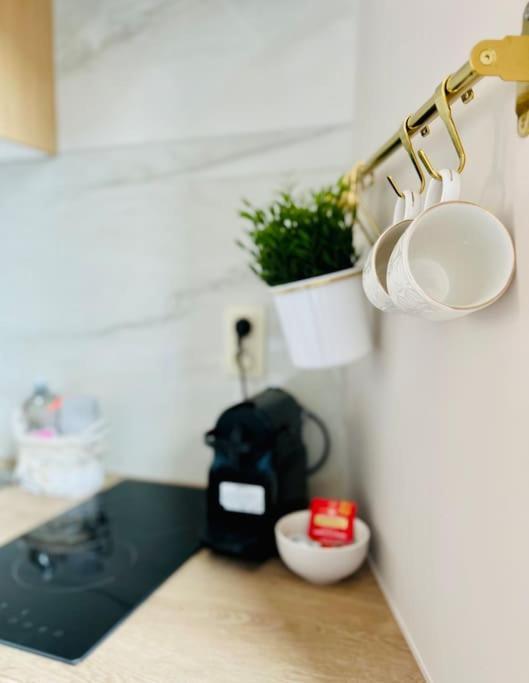 Charmant Petit Appartement. リエージュ エクステリア 写真